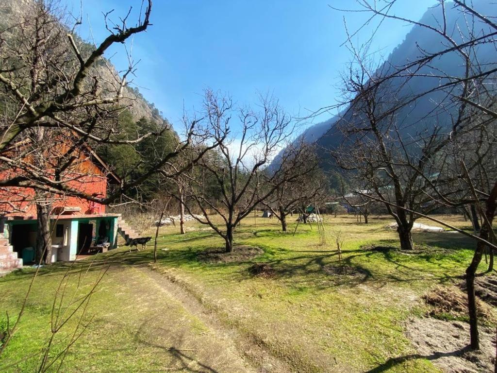 Hotel The Royal Orchard Kasol Exterior foto