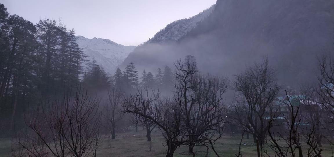 Hotel The Royal Orchard Kasol Exterior foto