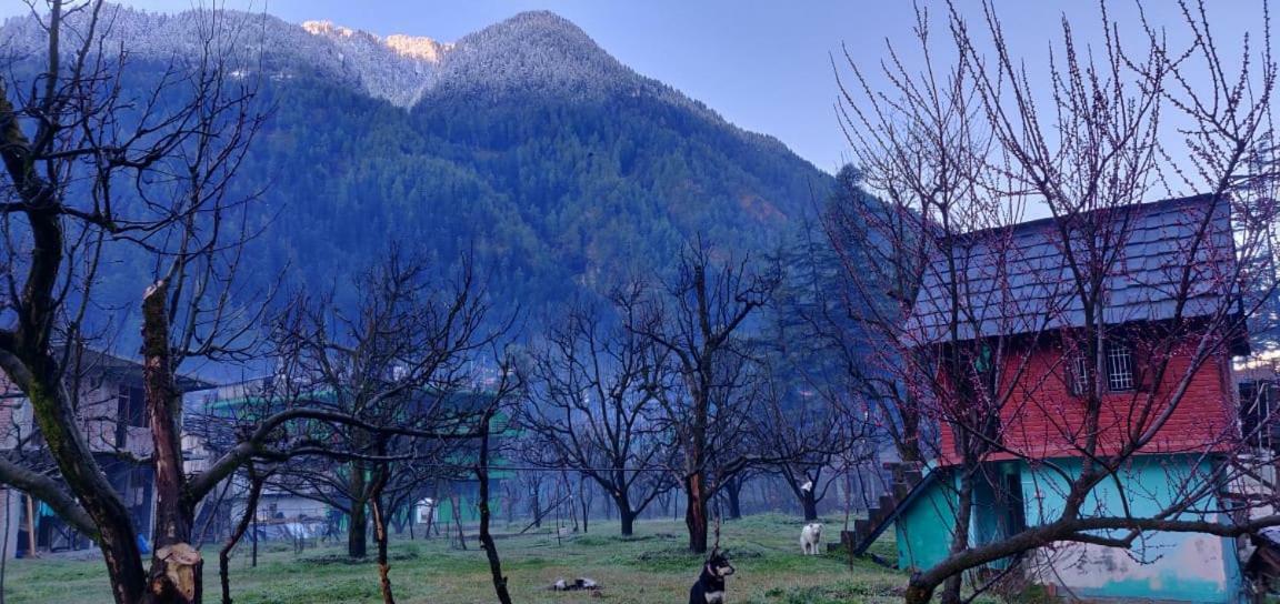 Hotel The Royal Orchard Kasol Exterior foto